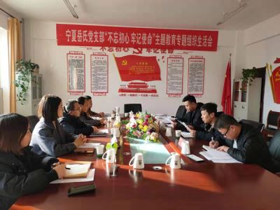 寧夏岳氏黨支部召開(kāi)“不忘初心，牢記使命”主題教育專題組織生活會(huì)
